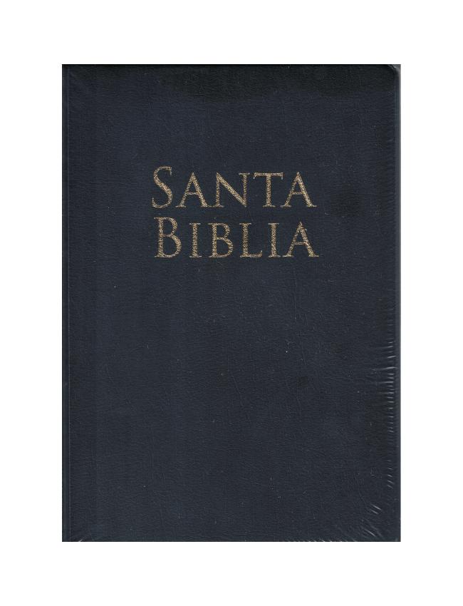 Biblia de letra grande Holman (tamaño manual  vinilo)