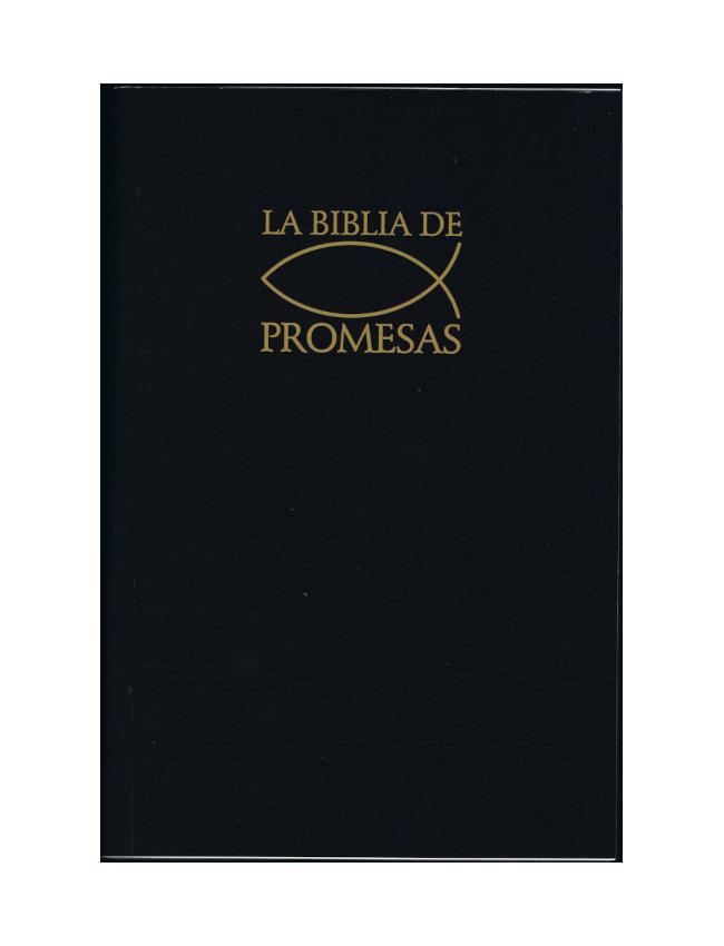 Biblia de promesas (económica)
